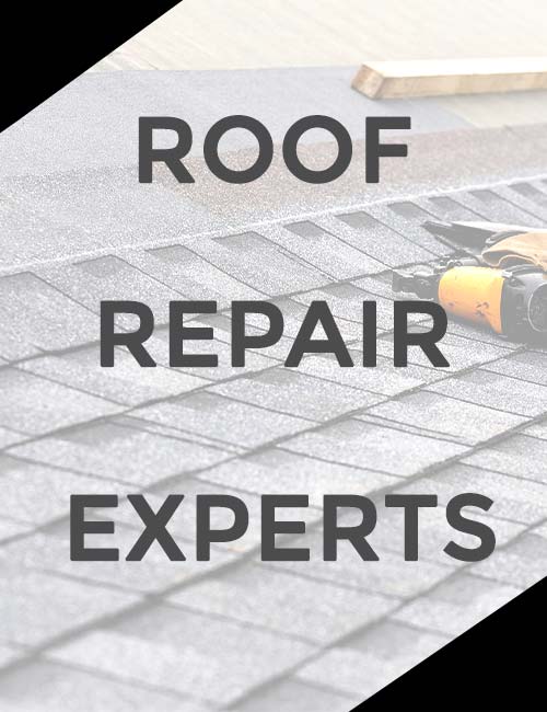 Aegis Roofing Images